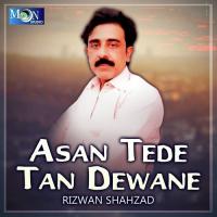 Sab Wadey Qasman Bhula Rizwan Shahzad Song Download Mp3