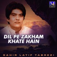 Har Dam Ali Ali Ali Ali Kar Sahir Latif Tabrezi Song Download Mp3