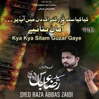 Kya Kya Sitam Guzar Gaye Syed Raza Abbas Zaidi Song Download Mp3