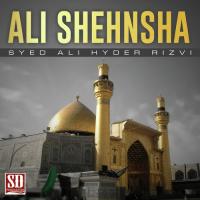 Dhia Nabia Gi Syed Ali Hyder Rizvi Song Download Mp3