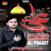 Maa Hussain Ki S. M. Zeeshan Haider Song Download Mp3