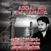 Syeda S W Ka Mohsin A S Syed Raza Abbas Zaidi Song Download Mp3