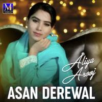 Neele Rang Da Chola Pa Ke Aliya Arooj Song Download Mp3