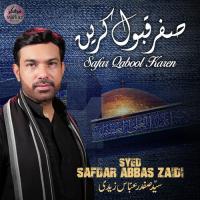 Abbas Tu Kahan Hay Syed Safdar Abbas Zaidi Song Download Mp3