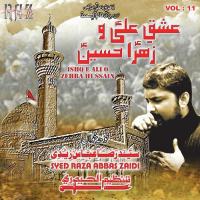 Maa Ayegi Hussain Syed Raza Abbas Zaidi Song Download Mp3