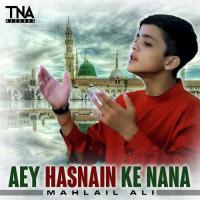 Aey Hasnain Ke Nana Mahlail Ali Baltistani Song Download Mp3