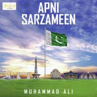 Is Mulk Ko Hum Muhammad Ali Song Download Mp3