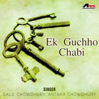 Aamaye Proshno Kore Salil Chowdhury,Antara Chowdhury Song Download Mp3