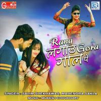 Rang Lagau Gora Gaal Pe Salim Shekhawas,Mahendra Sakla Song Download Mp3