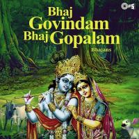 Bhaj Govindam Bhaj Gopalam Acharya R.D. Saxena,Reeta Banerjee Song Download Mp3