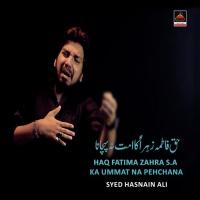 Haq Fatima Zahra S.a Ka Ummat Na Pehchana Syed Hasnain Ali Song Download Mp3