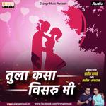 Tula Kasa Visaru Mi Satish Thakare Song Download Mp3