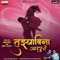 Tuzyawina Adhure Satish Thakare Song Download Mp3