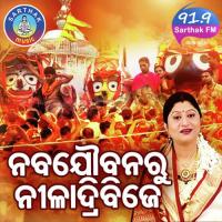 Anasara Sarigala (Naba Joubana) Namita Agrawal Song Download Mp3