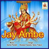 Rangila Garba Jamyo Che Shailesh Solanki,Asha Thakor Song Download Mp3