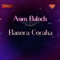 Zaheren Lagen Asim Baloch Song Download Mp3