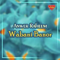 Tu Dosti Dost Anwer Raheem Song Download Mp3