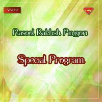 Be Dil Qurban Rasool Bakhsh Pinjgori Song Download Mp3