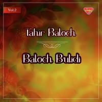 Tu Wati He Goun Tahir Baloch Song Download Mp3