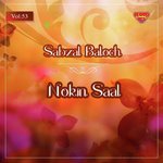 Ladey Ladey Salonk Sabzal Baloch Song Download Mp3