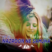 Ap Ki Nazroon Ne Samjha Misbah Erum Hunzai Song Download Mp3