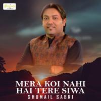 Jhooley Jhooley Lal Shumail Sabri Song Download Mp3