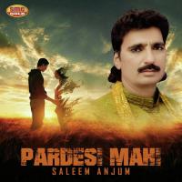 Aaja Dolnra Saleem Anjum Song Download Mp3