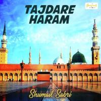 Hasbi Rabbi Jallallah Shumail Sabri Song Download Mp3