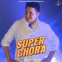 Super Chora Naresh Panwar Bikaneri Song Download Mp3