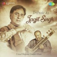 Ye Daulat Bhi Le Lo Ustad Shujaat Husain Khan Song Download Mp3