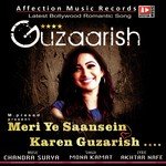 Meri Ye Saansen Mona Kamat Song Download Mp3