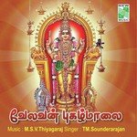 Aadi Krithigai Naalil T.M. Sounderarajan Song Download Mp3