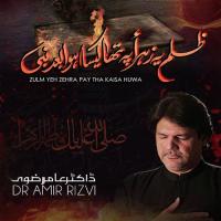 Zulm Yeh Zahra Pay Tha Kaisa Huwa Dr Amir Rizvi Song Download Mp3