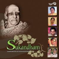 Saraswathi Nithyasree Mahadevan Song Download Mp3