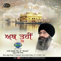 Mere Saheba Bhai Jagjit Singh Ji Song Download Mp3