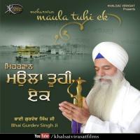 Meharwan Maula Tuhi Ek Bhai Gurdev Singh Ji Song Download Mp3