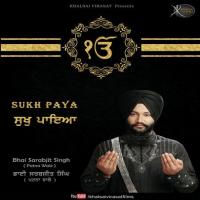 Tera Naam Karin Bhai Sarabjit Singh Song Download Mp3