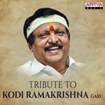 Nesthama Iddari (From "Pelli Pandiri") S. P. Balasubrahmanyam,K. S. Chithra Song Download Mp3