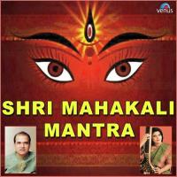 Shri Mahakali Mantra Suresh Wadkar,Vidhyshree Song Download Mp3