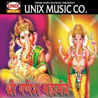 Jay Ganesh Aarti Manish Tiwari Song Download Mp3