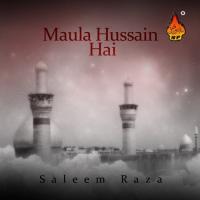 Sabr Karna Behen Saleem Raza Song Download Mp3