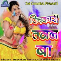 Kheli Bhauji Fagua Meenakshi Pande,Rajeshvar Shukla Song Download Mp3