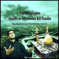 Qaedkhany Main Talatum Tazmeen Javed Song Download Mp3