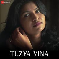 Tuzya Vina Gurunath Meher Song Download Mp3