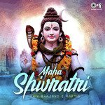 Jai Shiv Shankar Rameshwar (From "Shiv Sagar Barah Jyotirling Part 2") Anup Jalota Song Download Mp3