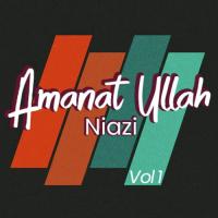 Sargi Da Tara Amanat Ullah Niazi Song Download Mp3