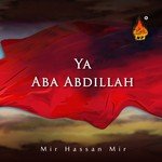 Ya Aba Abdillah Mir Hassan Mir Song Download Mp3