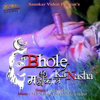 Bhole Ka Nasha Rajwadi Raifle,Patel Sarkaar Song Download Mp3