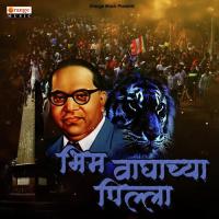 Bhim Waghachya Pilla Vikas Gangawane,Atul Gangawane Song Download Mp3