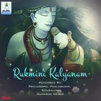 Vinimu Vidharba Rajagopal Palagummi,Kousalya,Suhasini Anand Song Download Mp3